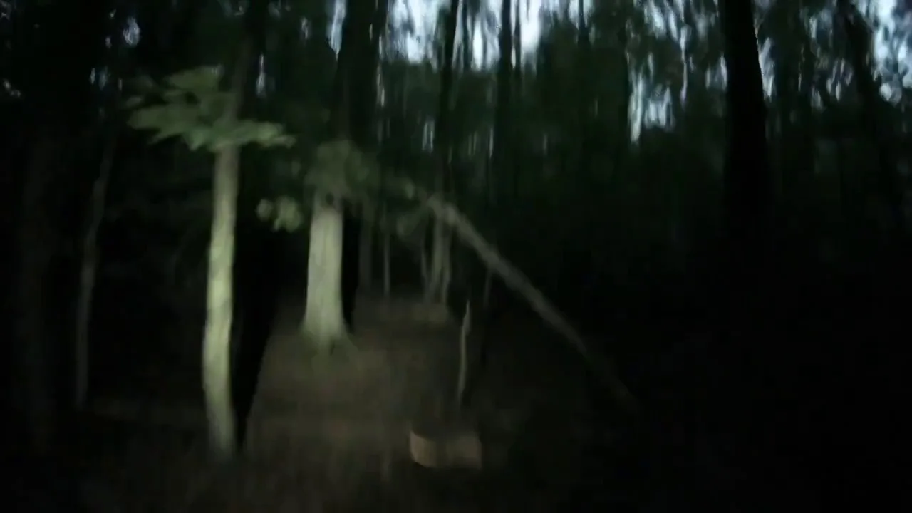 Rapid footsteps along a dark forest trail